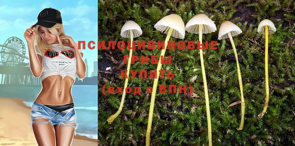 СК Алексин