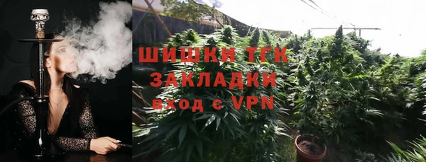 ПСИЛОЦИБИНОВЫЕ ГРИБЫ Абаза