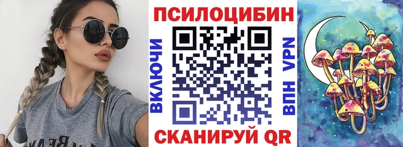 Псилоцибиновые грибы мицелий  Александровск 